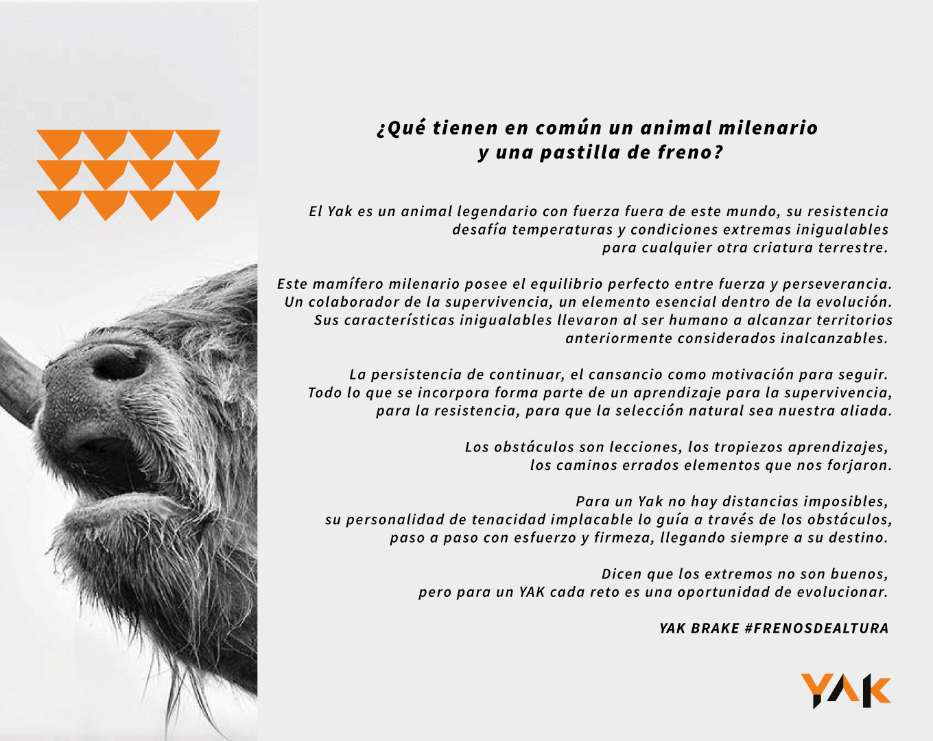 Cargar video: 